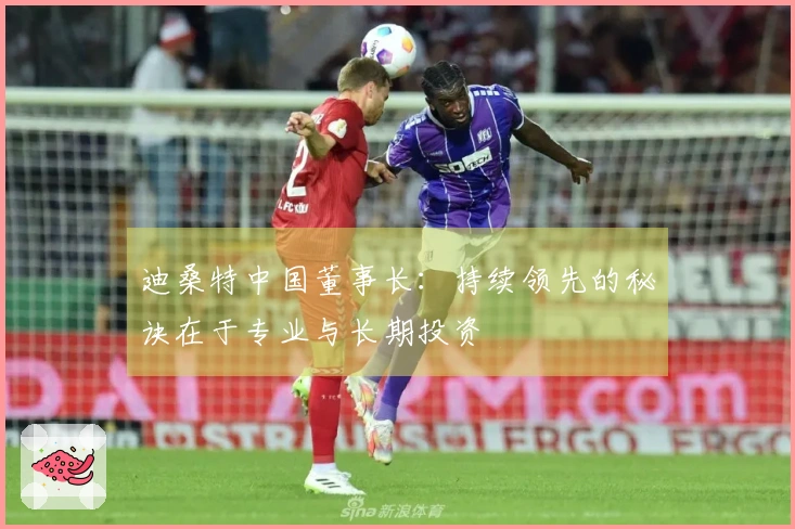 迪桑特中国董事长：持续领先的秘诀在于专业与长期投资